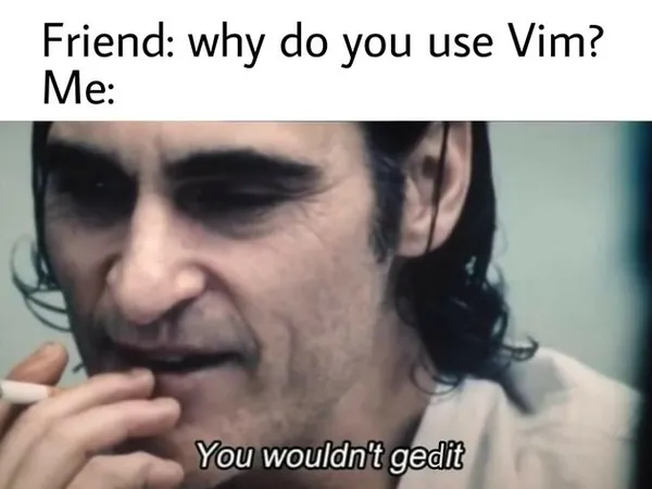 Meme Why do you use vim?